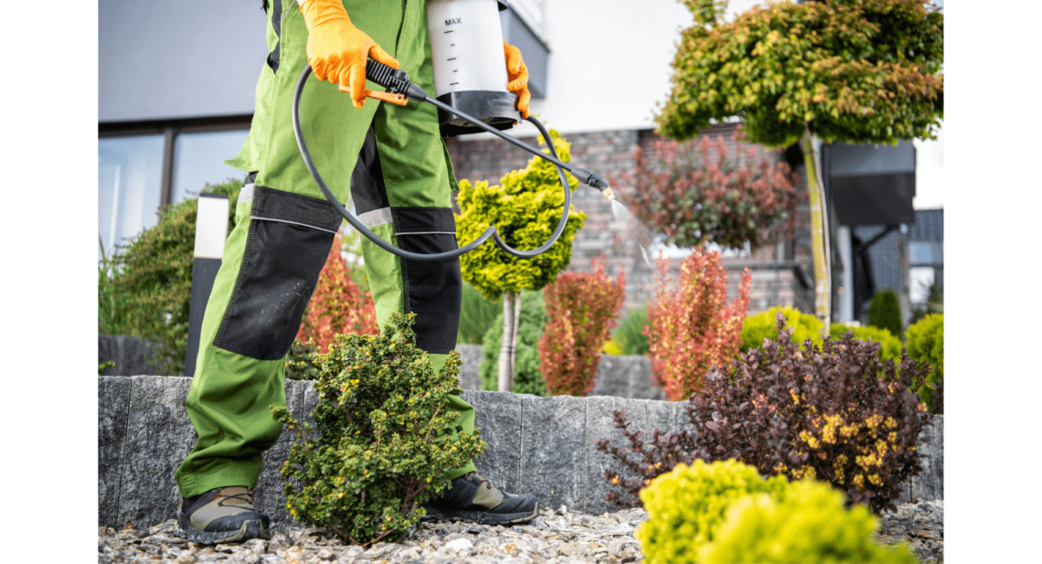 Gardening Tips for Hearing Aid Wearers